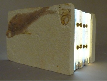 20th Century Fossil Book Closed