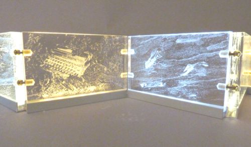 20th Century Fossil Book Detail